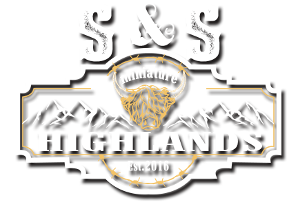S&S Miniature Highlands